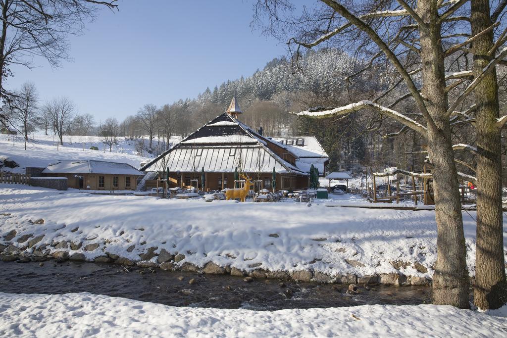 Gaestehaus Der Geroldsauer Muehle Баден-Баден Екстериор снимка